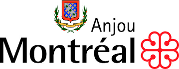 ville-anjou drain clenaing in ville anjou