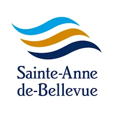 ste-anne-de-bellevue Drain Cleaning ste-anne-de-bellevue